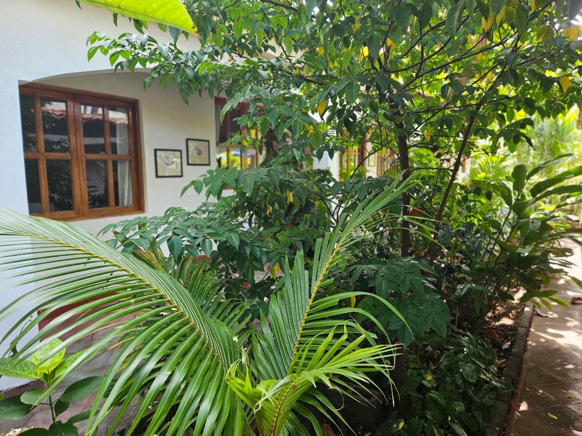 Hotel Tranquilo Лас-Пеньитас Экстерьер фото